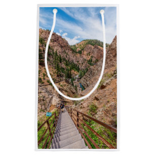 Looking Down Seven Falls Stairs Tall Gift Bag