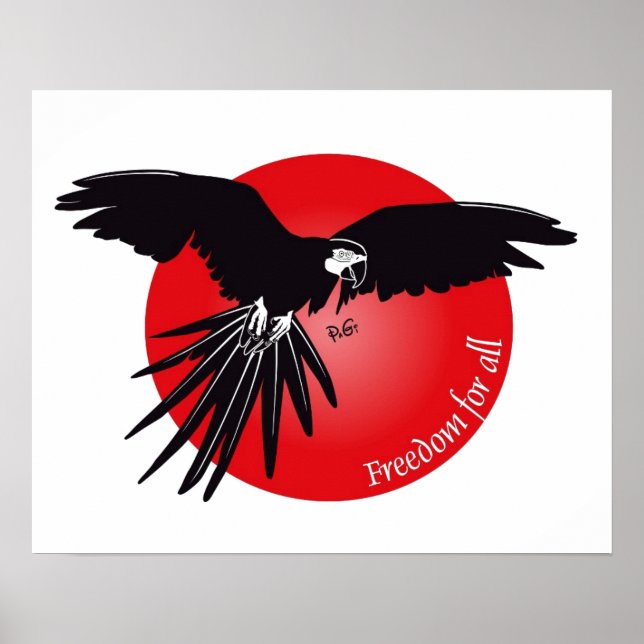Looking for freedom Poster (Front)