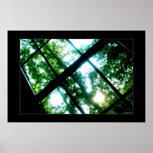 looking for freedom poster (Front)