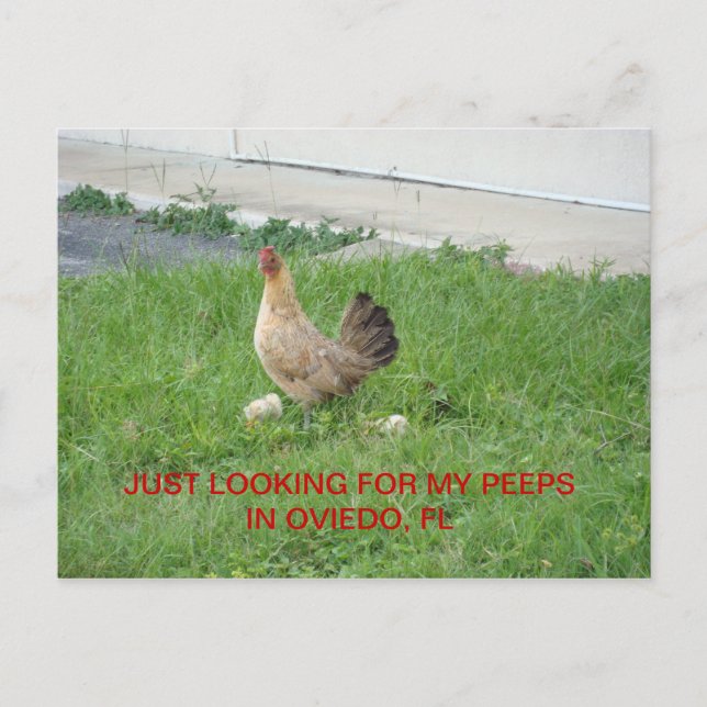 Looking for my peeps postcards (Front)