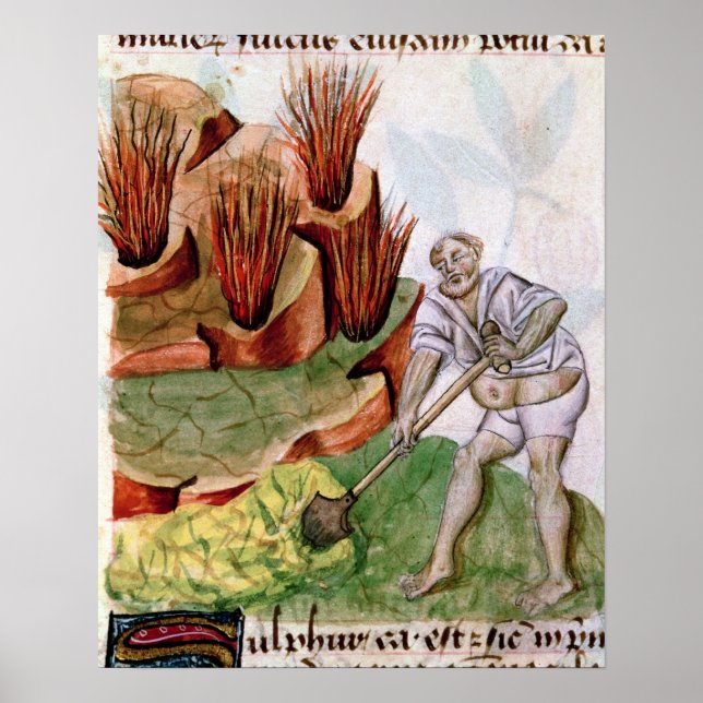 Looking for Sulphur,  Dioscorides' 'De Herbis' Poster (Front)