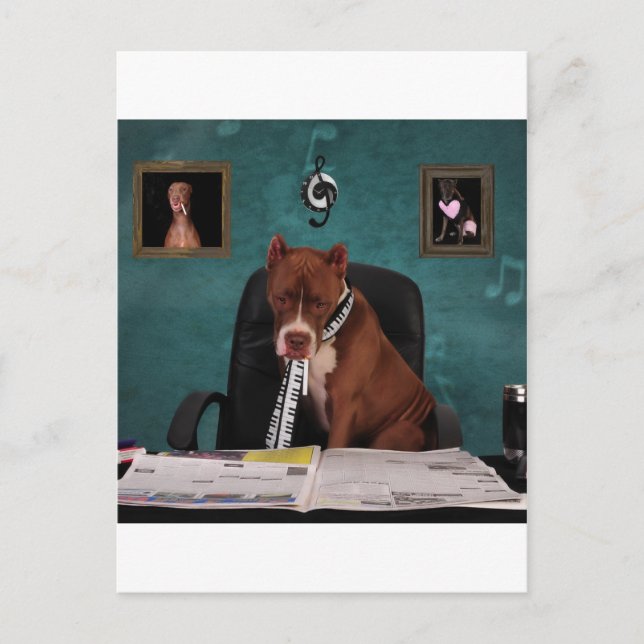 Looking for talent postcard (Front)