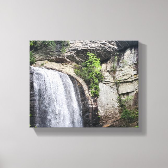 Looking Glass Falls Brevard North Carolina Canvas Print (Front)