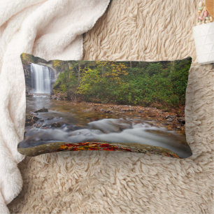 Looking Glass Falls Pisgah National Forest Lumbar Cushion
