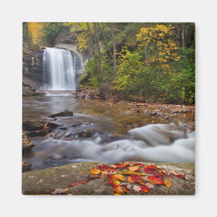 Looking Glass Falls Pisgah National Forest Magnet