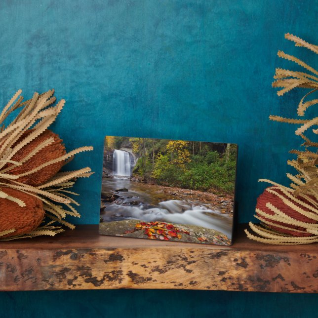 Looking Glass Falls Pisgah National Forest Plaque (Side)