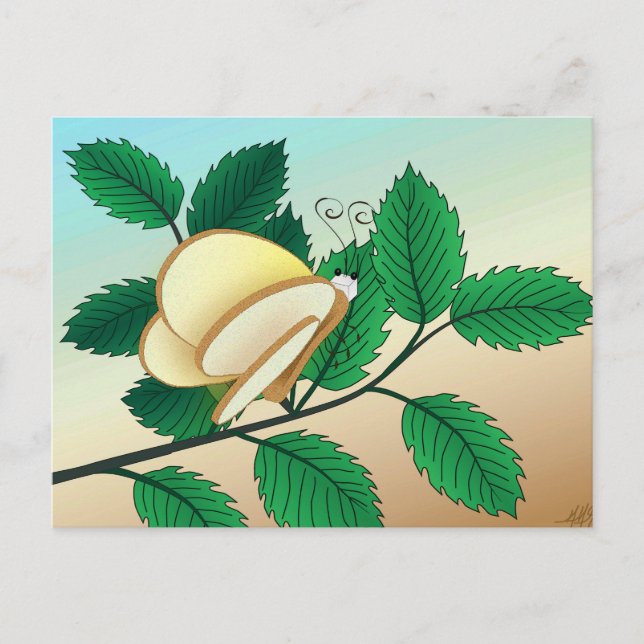 Looking Glass Insects - Bread and Butterfly Postcard (Front)