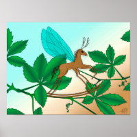 Looking Glass Insects - Rockinghorse-Fly