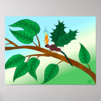 Looking Glass Insects - Snapdragon-Fly