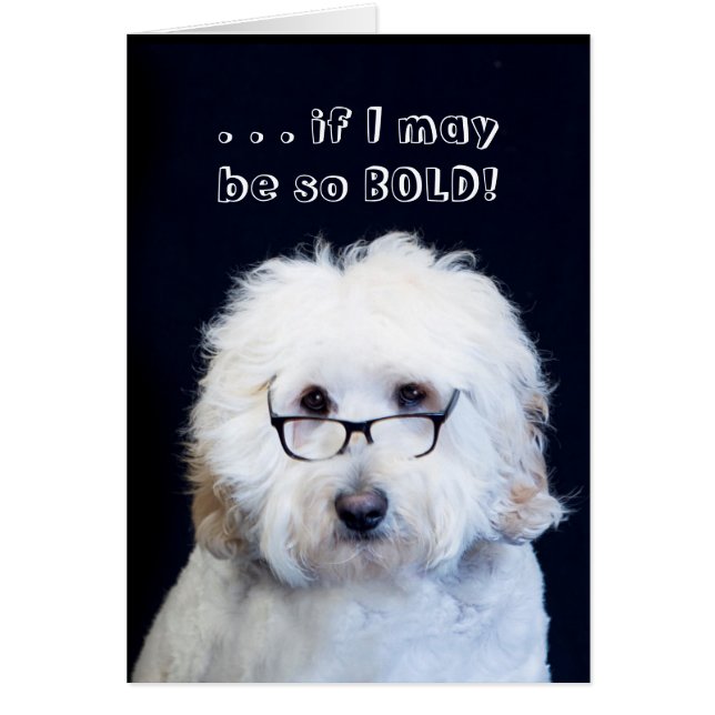 LOOKING GOOD- HUMOR W/DOG/BLACK-RIM GLASSES (Front)
