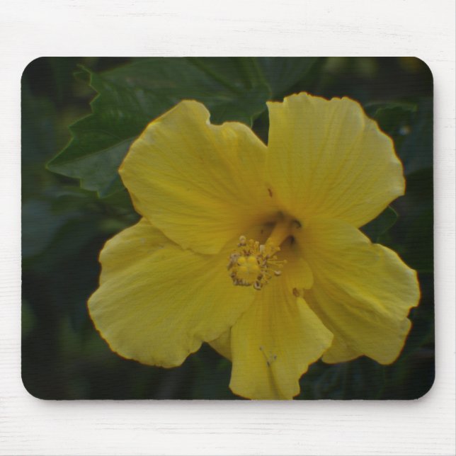 Looking Inside a Yellow Flower Mousepad (Front)