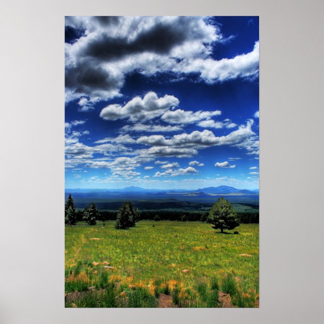 Looking into the Distance Poster (Front)