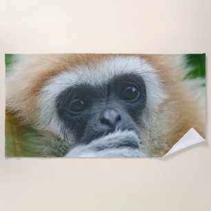 Looking Into The Eyes Of A Lar Gibbon Beach Towel