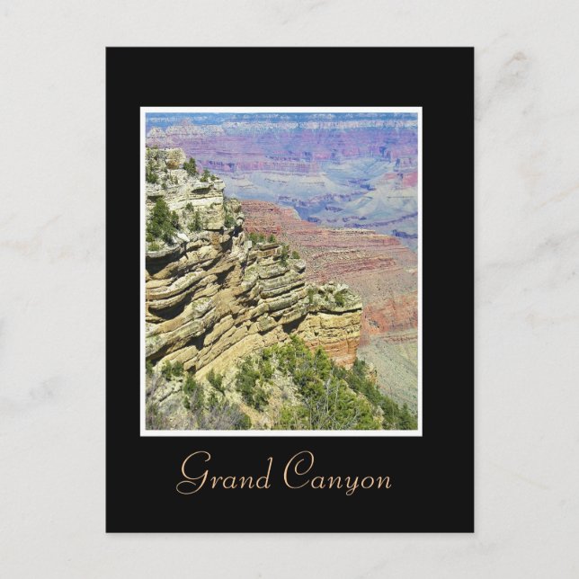 Looking into the Grand Canyon postcard (Front)