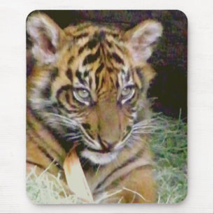 Looking_ Mouse Pad