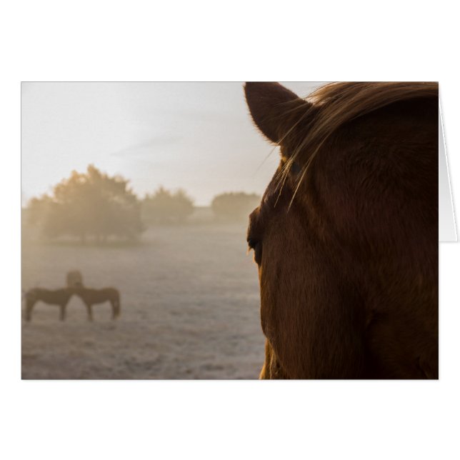 Looking Onward Greeting Card (Front Horizontal)