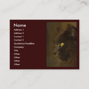 Looking Out Business Card