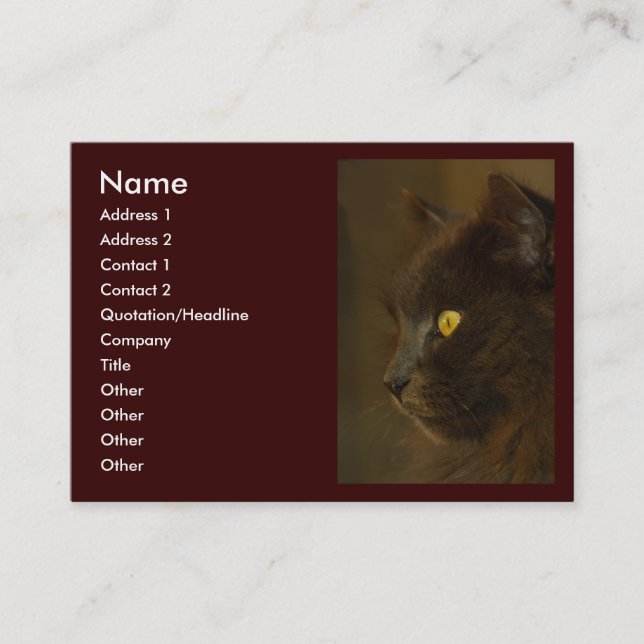 Looking Out Business Card (Front)