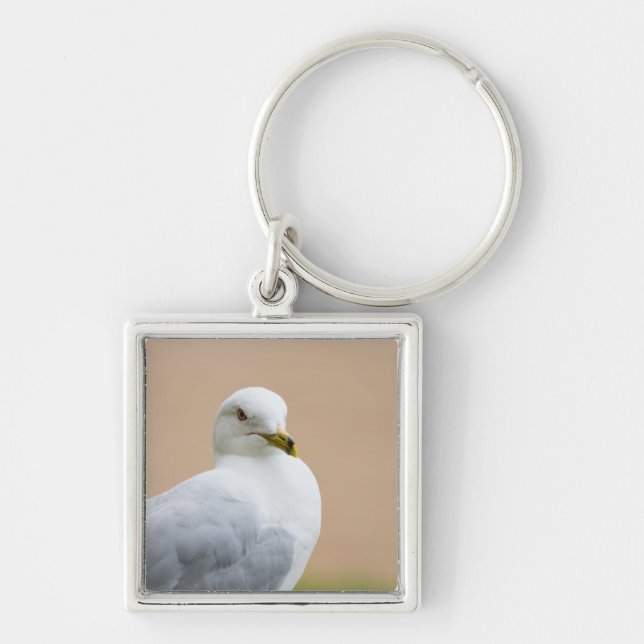 Looking Out Key Ring (Front)
