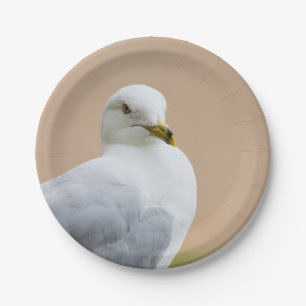 Looking Out Paper Plate