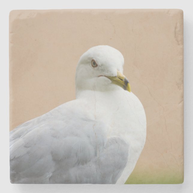 Looking Out Stone Coaster (Front)
