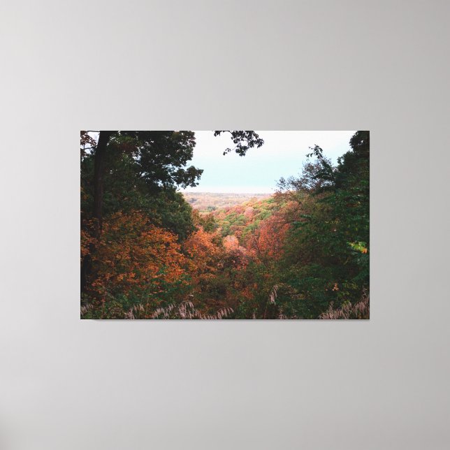 Looking over the Vallery Canvas Print (Front)
