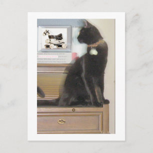 Looking Sideways Postcard