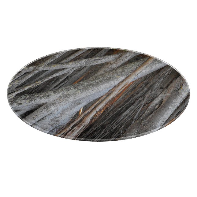 Looking through the Banyan Tree Cutting Board (Corner)
