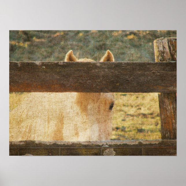 Looking Through the Fence Poster (Front)