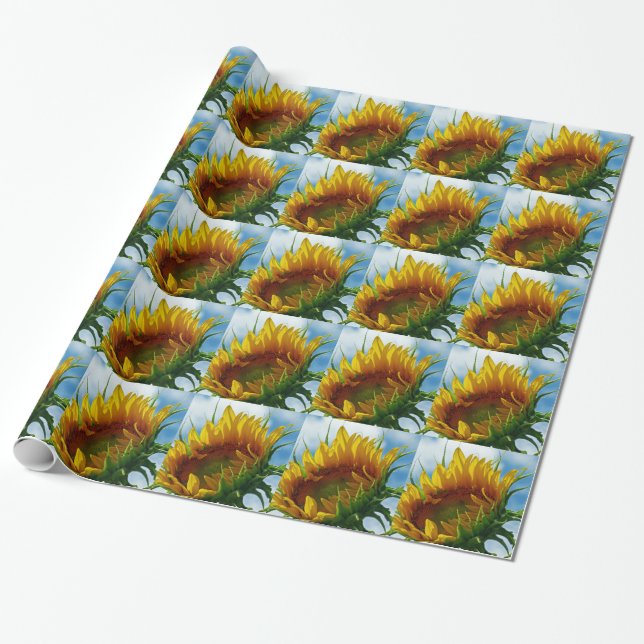 Looking Towards the Sun Wrapping Paper (Unrolled)