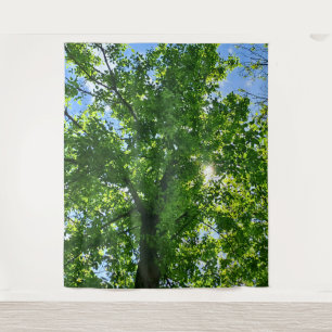 Looking Up at Green Leaves and Blue Sky - Romania Tapestry