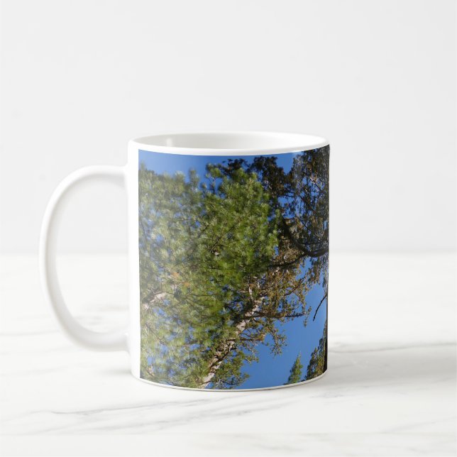 Looking Up at Mariposa Grove Coffee Mug (Left)