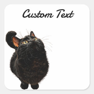 Looking Up Cat -4   Personalized Custom Text Square Sticker