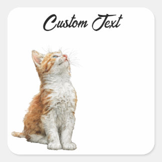 Looking Up Cat | Personalized Custom Text Square Sticker