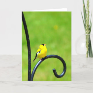 Looking Up Greeting Card