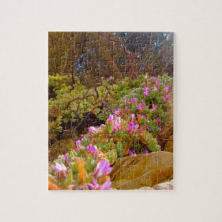 Looking Up Jigsaw Puzzle