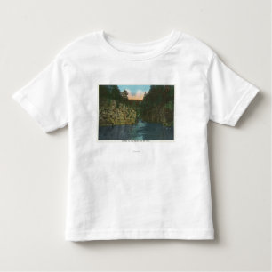Looking up Long Rapids from the Flume Toddler T-Shirt