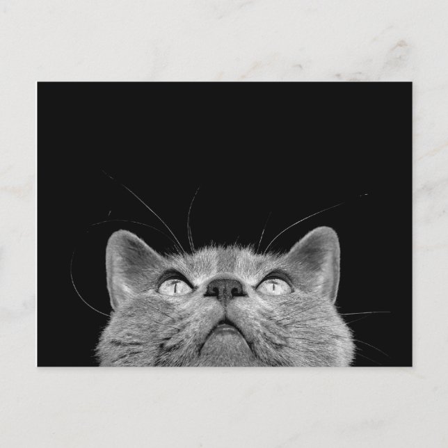 Looking up - Postcard (Front)