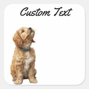 Looking Up Puppy-3   Personalized Custom Text Square Sticker