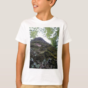 Looking Up the Kauri T-Shirt