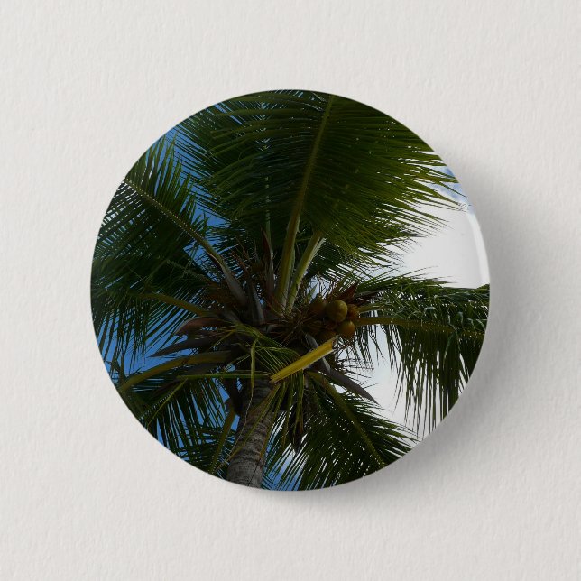 Looking Up to Coconut Palm Tree Tropical Nature 6 Cm Round Badge (Front)