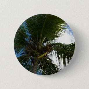 Looking Up to Coconut Palm Tree Tropical Nature 6 Cm Round Badge