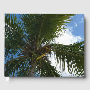 Looking Up to Coconut Palm Tree Tropical Nature Guest Book