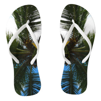 Looking Up to Coconut Palm Tree Tropical Nature Jandals