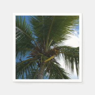 Looking Up to Coconut Palm Tree Tropical Nature Napkin