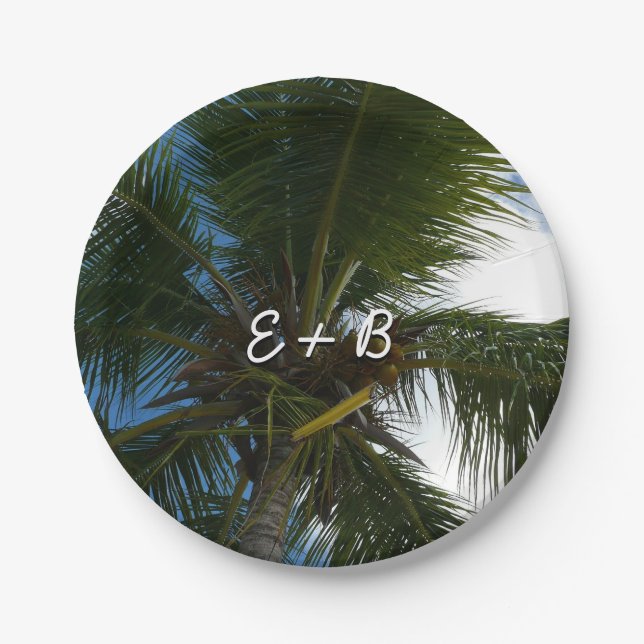 Looking Up to Coconut Palm Tree Tropical Nature Paper Plate (Front)