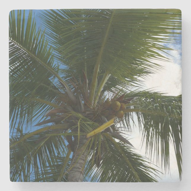 Looking Up to Coconut Palm Tree Tropical Nature Stone Coaster (Front)