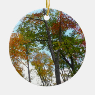 Looking Up to Fall Leaves I Colourful Fall Foliage Ceramic Tree Decoration