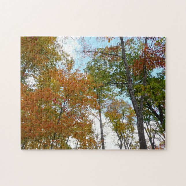 Looking Up to Fall Leaves I Colourful Fall Foliage Jigsaw Puzzle (Horizontal)