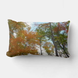 Looking Up to Fall Leaves I Colourful Fall Foliage Lumbar Cushion